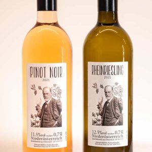 Traubendeutung Probierpaket 2021